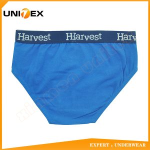 Boys’ Classic Briefs — Cotton, Jacquard Elastic, Solid Colour — Boys' Briefs & Thongs programme — thumbnail of OEM & private label sample 2