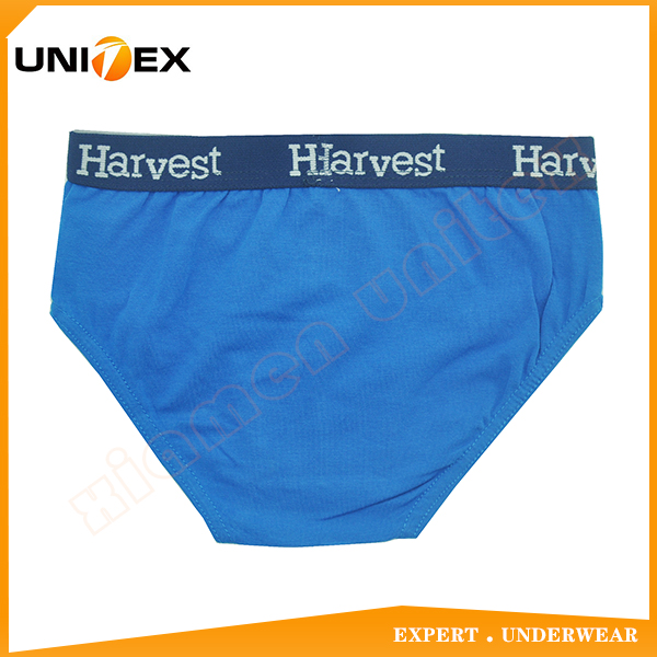 Boys’ Classic Briefs — Cotton, Jacquard Elastic, Solid Colour — Boys' Briefs & Thongs programme — OEM & private label detail photo 2