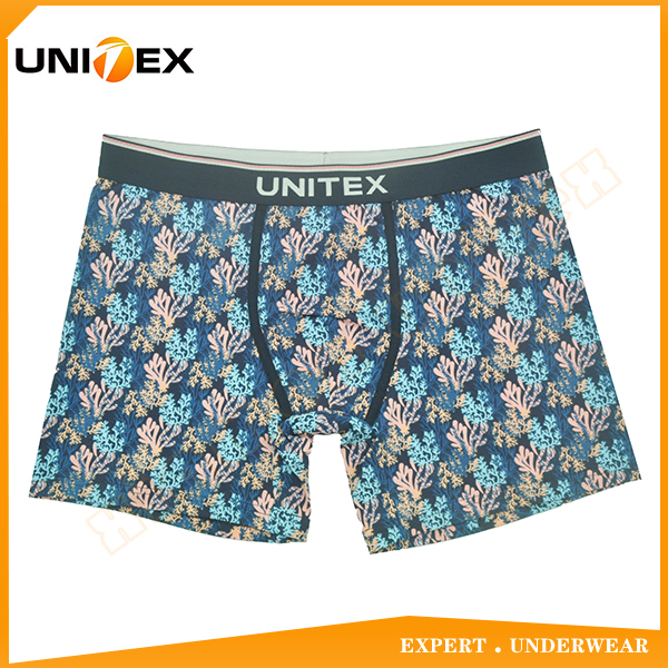 Men’s Boxer Briefs — Cotton, Custom Print, Jacquard Elastic — Men's Underwear programme — OEM & private label sample photo 1