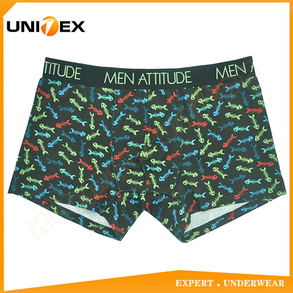 Men’s Underwear — Cotton, Custom Print, Jacquard Elastic — printed — Men's Underwear programme — OEM & private label sample photo 1