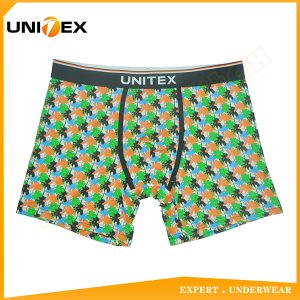 Men’s Boxer Briefs — Cotton, Custom Print, Jacquard Elastic — Printed — Men's Boxers & Boxer Briefs programme — thumbnail of OEM & private label sample 1