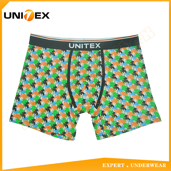 Men’s Boxer Briefs — Cotton, Custom Print, Jacquard Elastic — printed — Men's Underwear programme — OEM & private label sample photo 1