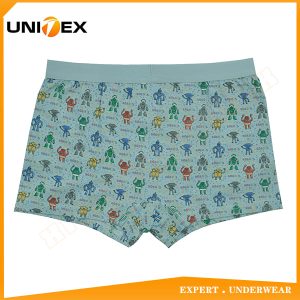 Boys’ Underwear — Cotton, Custom Print, Cute — Boys' Boxers & Boxer Shorts programme — thumbnail of OEM & private label sample 2