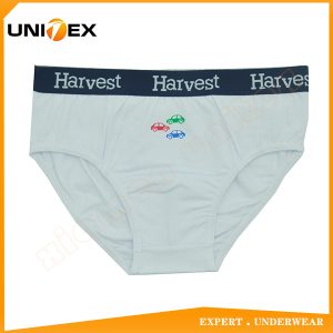 Boys’ Thong — Cotton, Custom Print — Boys' Briefs & Thongs programme — thumbnail of OEM & private label sample 1