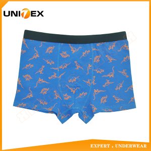 Boys’ Boxer Shorts — Cotton, All-Over Print — Cartoon Print — Boys' Boxers & Boxer Shorts programme — thumbnail of OEM & private label sample 1