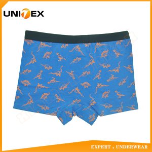 Boys’ Boxer Shorts — Cotton, All-Over Print — Cartoon Print — Boys' Boxers & Boxer Shorts programme — thumbnail of OEM & private label sample 2