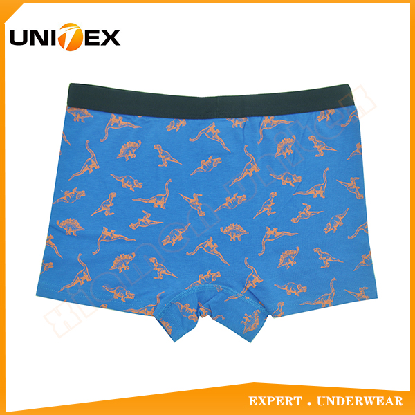 Boys’ Boxer Shorts — Cotton, All-Over Print — Cartoon Print — Boys' Boxers & Boxer Shorts programme — OEM & private label detail photo 2