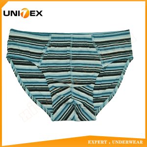 Men’s Briefs — Cotton, Yarn-Dyed Stripe — fashional — Men's Briefs programme — OEM & private label sample photo 1