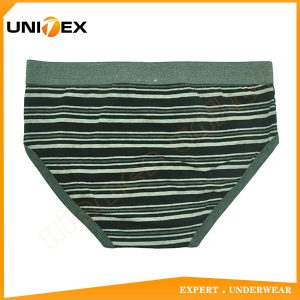 Men’s Bikini Briefs — Cotton, Yarn-Dyed Stripe — Men's Briefs programme — OEM & private label sample photo 2