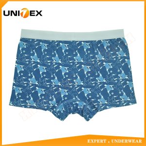 Boys’ Underwear — Cotton, All-Over Print — Boys' Boxers & Boxer Shorts programme — thumbnail of OEM & private label sample 2