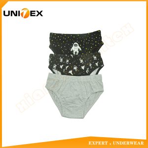 Boys’ Briefs — 3-Piece Pack, Cotton, Custom Print — Kids Range — Boys' Briefs & Thongs programme — thumbnail of OEM & private label sample 1