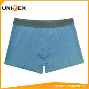 Men’s Boxer Briefs — Cotton, Breathable, Trunk Fit — Men's Boxers & Boxer Briefs programme — OEM & private label sample photo 1