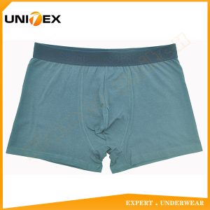 Men’s Boxer Briefs — Cotton, Breathable, Trunk Fit — Men's Boxers & Boxer Briefs programme — OEM & private label sample photo 3