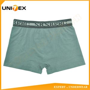 Men’s Boxer Briefs — Cotton, Jacquard Elastic, Breathable — Men's Boxers & Boxer Briefs programme — thumbnail of OEM & private label sample 2