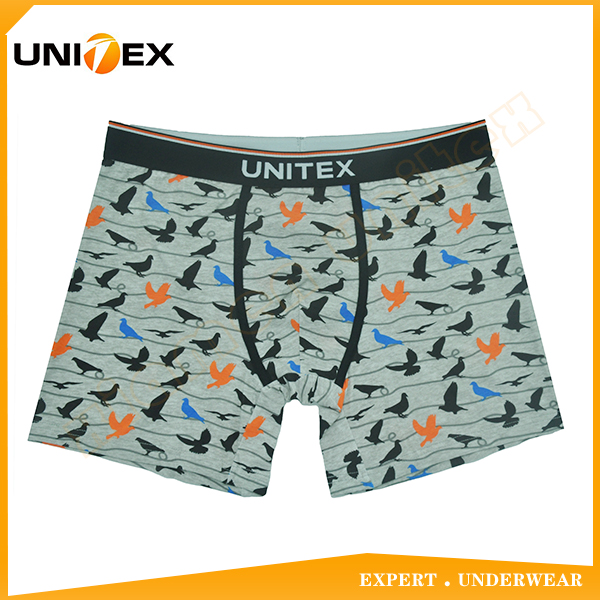 Men’s Boxer Briefs — Cotton/Spandex, Custom Print, Jacquard Elastic — Men's Underwear programme — OEM & private label sample photo 1