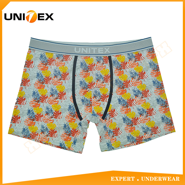 Men’s Boxer Briefs — Cotton, Custom Print, Jacquard Elastic — shorts — Men's Underwear programme — OEM & private label sample photo 1
