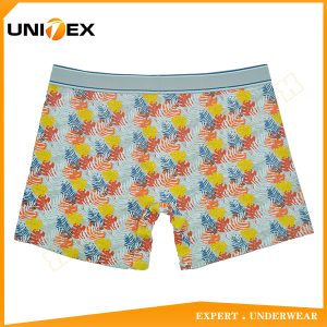 Men’s Boxer Briefs — Cotton, Custom Print, Jacquard Elastic — Cotton/Elastane — Men's Boxers & Boxer Briefs programme — thumbnail of OEM & private label sample 2