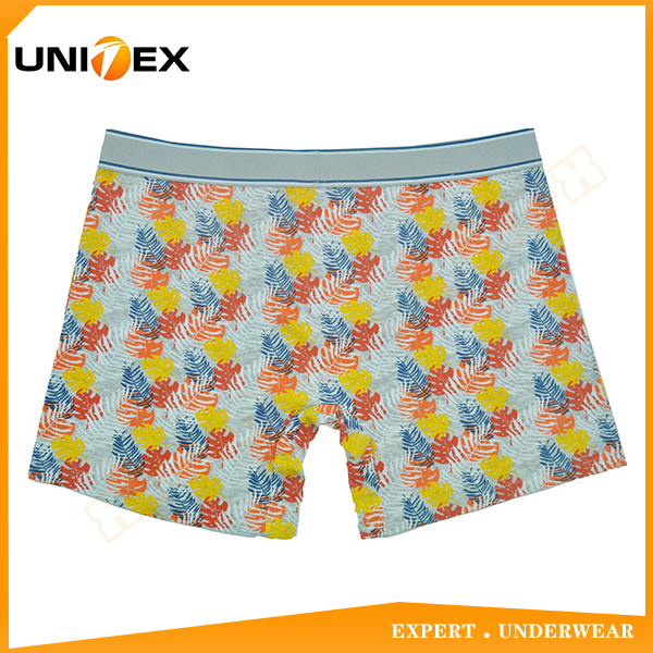 Men’s Boxer Briefs — Cotton, Custom Print, Jacquard Elastic — Cotton/Elastane — Men's Boxers & Boxer Briefs programme — OEM & private label detail photo 2