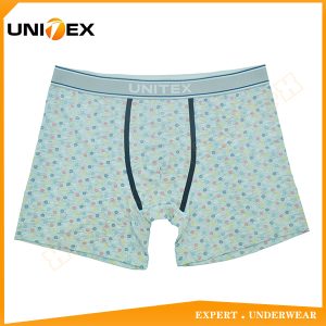 Men’s Boxer Briefs — Cotton, Custom Print, Jacquard Elastic — Logo Knit — Men's Boxers & Boxer Briefs programme — thumbnail of OEM & private label sample 1