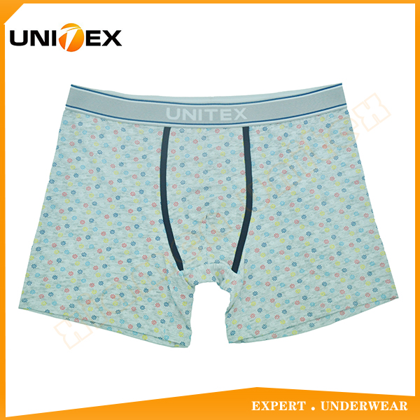 Men’s Boxer Briefs — Cotton, Custom Print, Jacquard Elastic — logo — Men's Underwear programme — OEM & private label sample photo 1