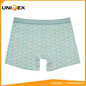 Men’s Boxer Briefs — Cotton, Custom Print, Jacquard Elastic — Logo Knit — Men's Boxers & Boxer Briefs programme — thumbnail of OEM & private label sample 2