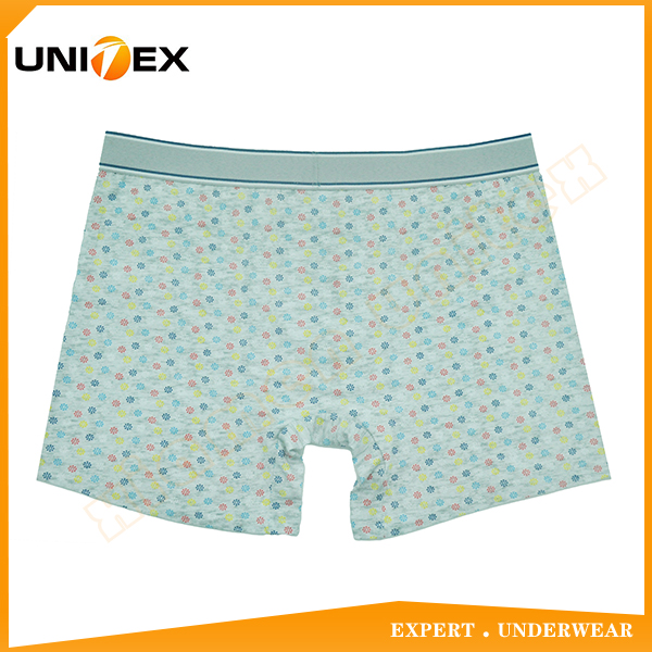 Men’s Boxer Briefs — Cotton, Custom Print, Jacquard Elastic — Logo Knit — Men's Boxers & Boxer Briefs programme — OEM & private label detail photo 2