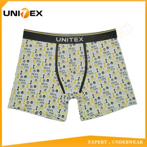 Men’s Soft Boxer Briefs — Cotton, Custom Print, Jacquard Elastic — Printed — Men's Boxers & Boxer Briefs programme — thumbnail of OEM & private label sample 1