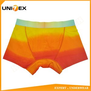 Men’s Boxer Briefs — Cotton, Discharge Print, Moisture-Wicking — Men's Boxers & Boxer Briefs programme — thumbnail of OEM & private label sample 2