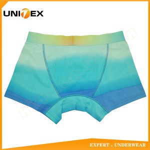 Men’s Boxer Briefs — Cotton, Discharge Print, Moisture-Wicking — central — Men's Boxers & Boxer Briefs programme — thumbnail of OEM & private label sample 2