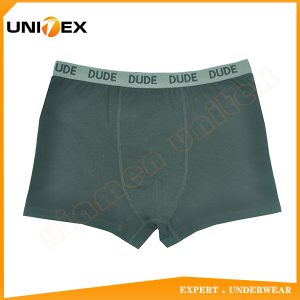 Kids’ Underwear — Cotton, Jacquard Elastic, Solid Colour — Boys' Boxers & Boxer Shorts programme — thumbnail of OEM & private label sample 1