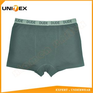 Kids’ Underwear — Cotton, Jacquard Elastic, Solid Colour — Boys' Boxers & Boxer Shorts programme — thumbnail of OEM & private label sample 2