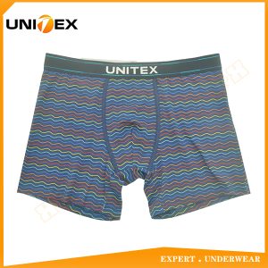 Men’s Boxer Briefs — Cotton, Custom Print, Jacquard Elastic — Fun Print — Men's Boxers & Boxer Briefs programme — thumbnail of OEM & private label sample 1