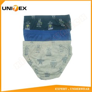 Boys’ Basic Briefs — 3-Piece Pack, Cotton, Custom Print — 100% Cotton — Boys' Briefs & Thongs programme — OEM & private label sample photo 2
