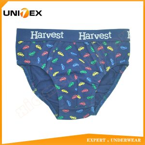 Boys’ Classic Thong — Cotton, Custom Print, Comfort Fit — Boys' Briefs & Thongs programme — thumbnail of OEM & private label sample 1
