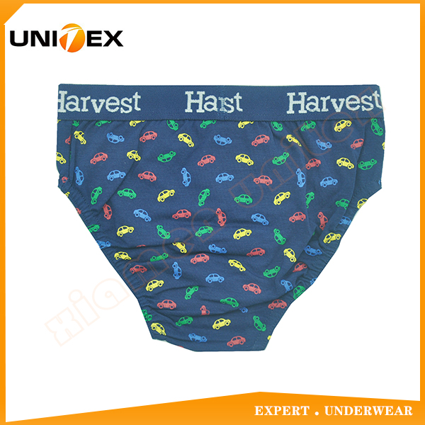 Boys’ Classic Thong — Cotton, Custom Print, Comfort Fit — Boys' Briefs & Thongs programme — OEM & private label detail photo 2