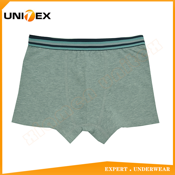 Boys’ Boxer Shorts — Cotton, Teen — Boys' Underwear programme — OEM & private label sample photo 1