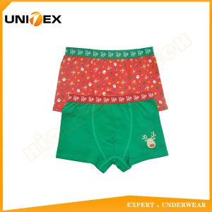 Boys’ Basic Boxer Shorts — 2-Piece Pack, Cotton, Custom Print — School — Boys' Boxers & Boxer Shorts programme — OEM & private label sample photo 1