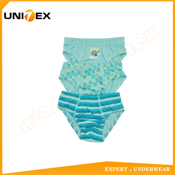 Boys’ Classic Briefs — 3-Piece Pack, Cotton, Custom Print — teen — Boys' Underwear programme — OEM & private label sample photo 1