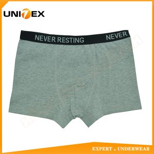 Boys’ Classic Boxer Briefs — Cotton, Jacquard Elastic, Teen — Boys' Boxers & Boxer Shorts programme — thumbnail of OEM & private label sample 1