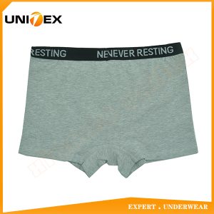 Boys’ Classic Boxer Briefs — Cotton, Jacquard Elastic, Teen — Boys' Boxers & Boxer Shorts programme — thumbnail of OEM & private label sample 2