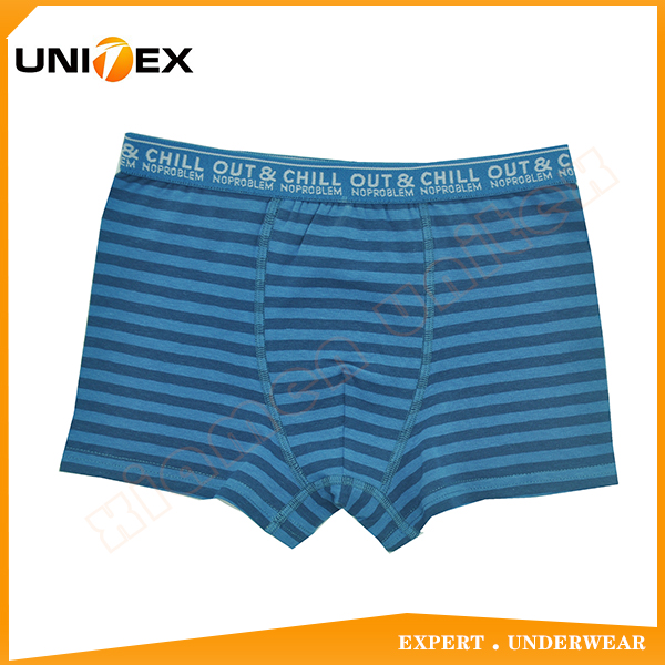 Boys’ Boxer Shorts — Cotton, Yarn-Dyed Stripe, Teen — Boys' Underwear programme — OEM & private label sample photo 1