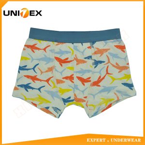 Boys’ Boxer Shorts — Cotton, Custom Print, Teen — Semi-Combed Cotton — Boys' Boxers & Boxer Shorts programme — thumbnail of OEM & private label sample 1