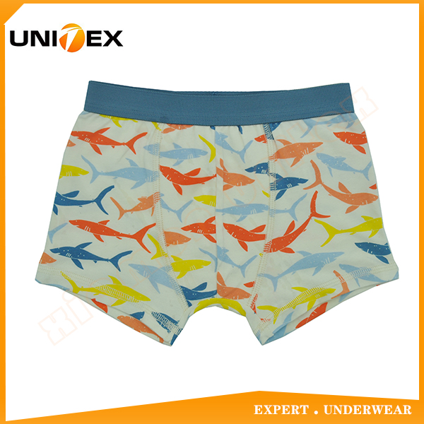 Boys’ Boxer Shorts — Cotton, Custom Print, Teen — trunk — Boys' Underwear programme — OEM & private label sample photo 1