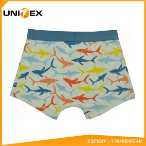 Boys’ Boxer Shorts — Cotton, Custom Print, Teen — Semi-Combed Cotton — Boys' Boxers & Boxer Shorts programme — thumbnail of OEM & private label sample 2