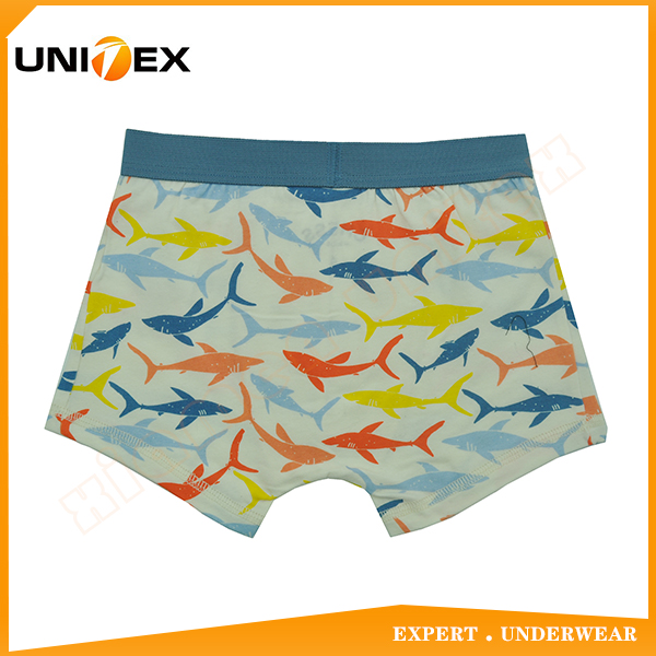 Boys’ Boxer Shorts — Cotton, Custom Print, Teen — Semi-Combed Cotton — Boys' Boxers & Boxer Shorts programme — OEM & private label detail photo 2