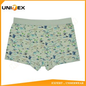 Boys’ Soft Boxer Shorts — Cotton, Custom Print, Teen — Boys' Boxers & Boxer Shorts programme — thumbnail of OEM & private label sample 1