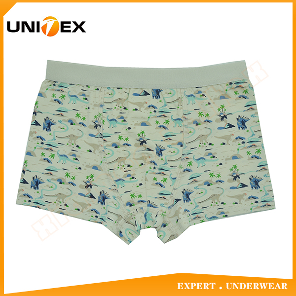 Boys’ Soft Boxer Shorts — Cotton, Custom Print, Teen — Boys' Underwear programme — OEM & private label sample photo 1