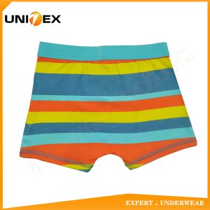 Boys’ Soft Boxer Briefs — Cotton, Custom Print, Yarn-Dyed Stripe — Boys' Boxers & Boxer Shorts programme — thumbnail of OEM & private label sample 2
