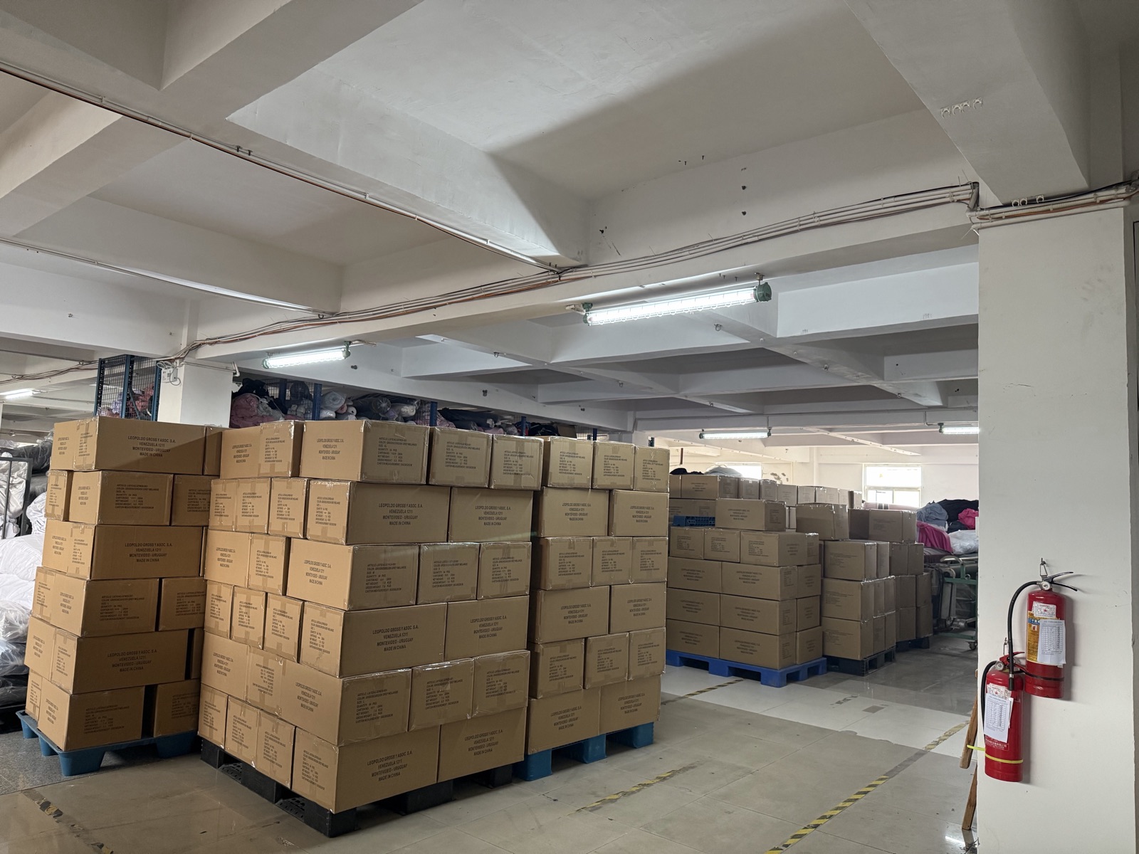 China Underwear OEM vs ODM: MOQ, Pricing & Lead Time Explained for Importers