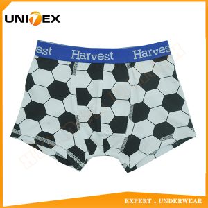 Boys’ Soft Boxer Shorts — Cotton, Custom Print, Comfort Fit — Boys' Boxers & Boxer Shorts programme — thumbnail of OEM & private label sample 1